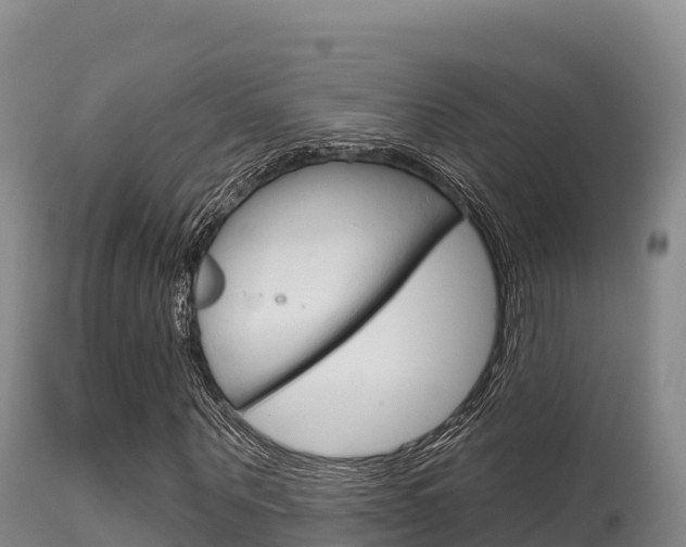 X0000115670867200911121004