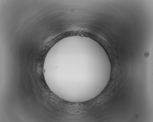X0000115670869200911121004