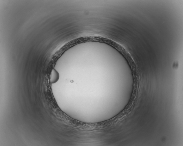 X0000115670871200911121004