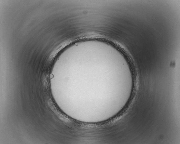 X0000115670873200911121004