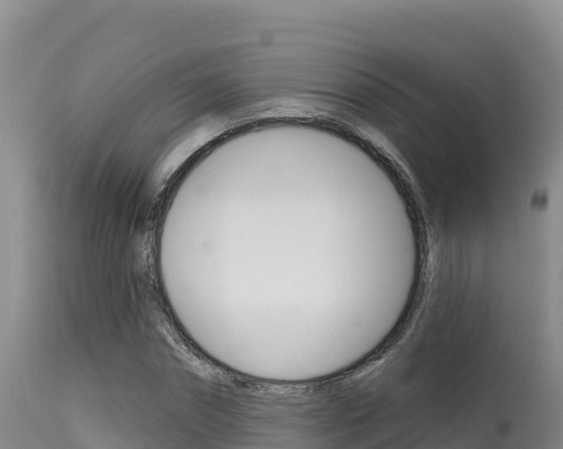 X0000115670874200911121004