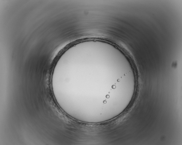 X0000115670875200911121004