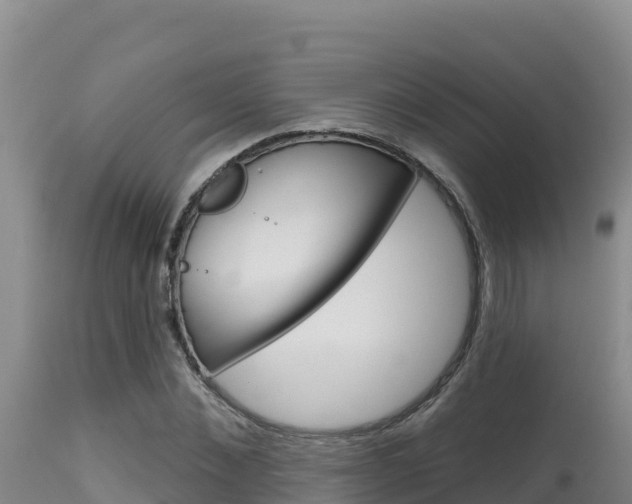X0000115670876200911121004