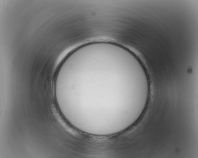 X0000115670886200911121004