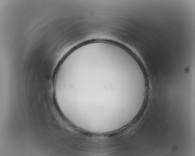 X0000115670887200911121004