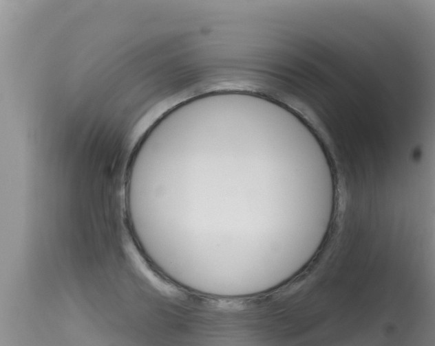 X0000115670890200911121004