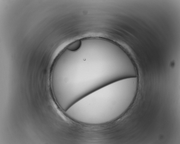X0000115670894200911121004
