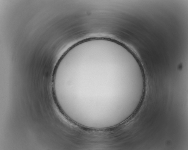 X0000115670895200911121004