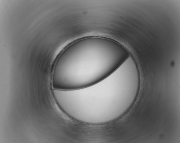 X0000115670896200911121004