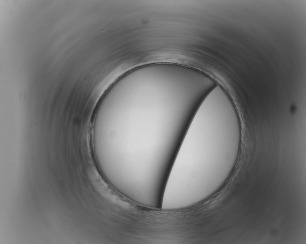X0000115670899200911121004