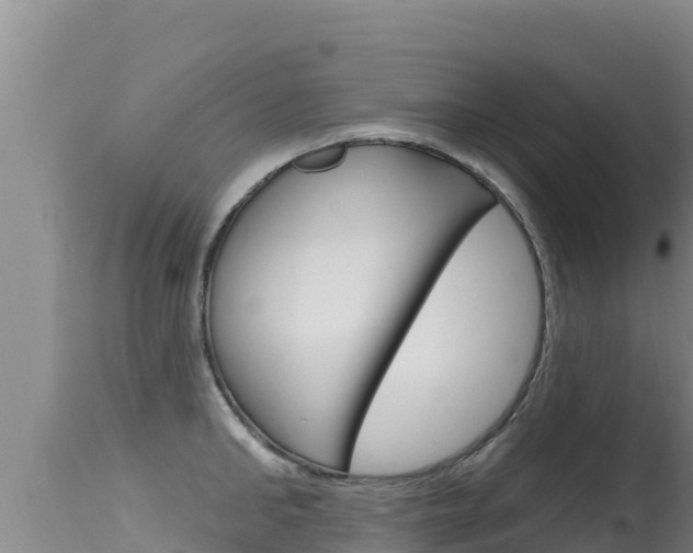 X0000115670902200911121004