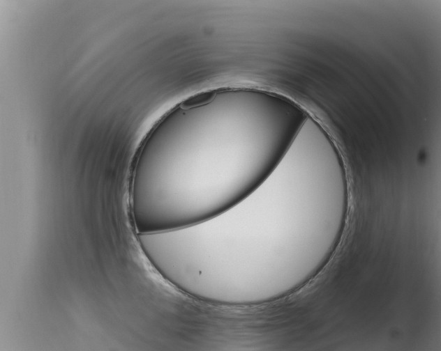 X0000115670904200911121004