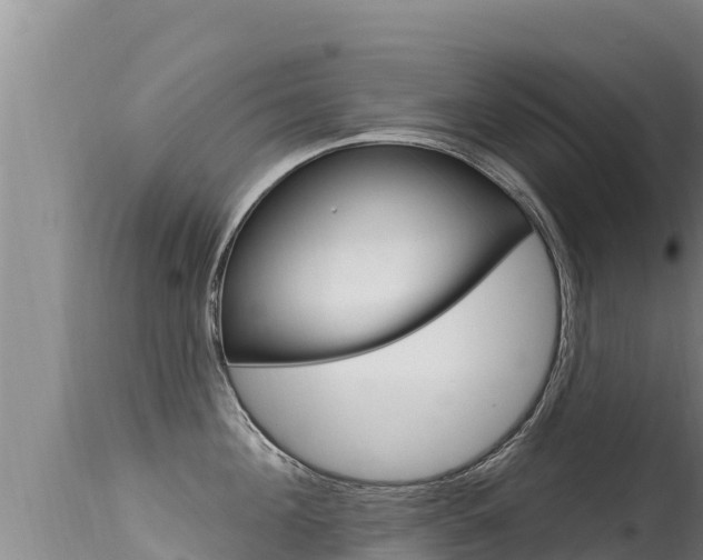 X0000115670908200911121004
