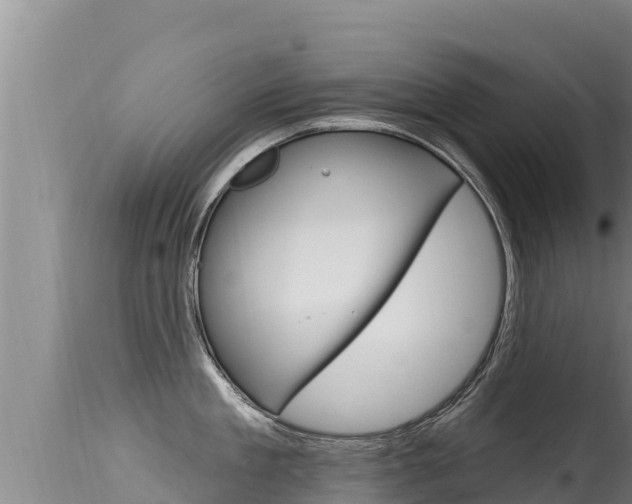 X0000115670909200911121004