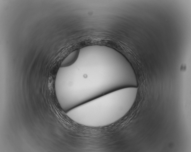 X0000115670914200911121003