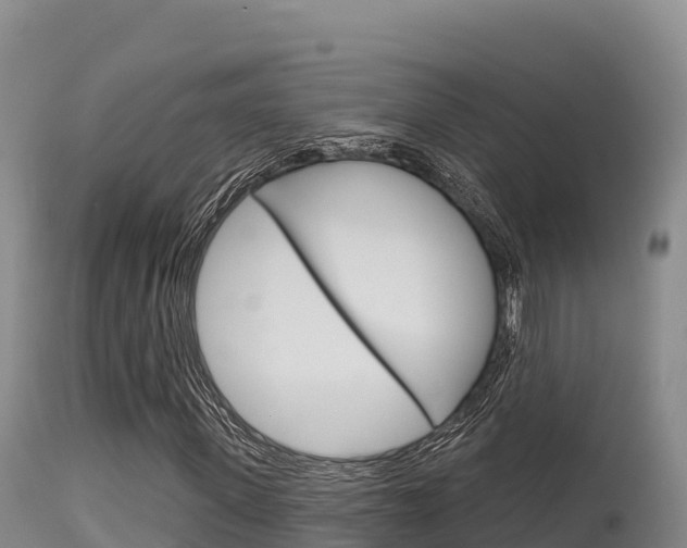 X0000115670915200911121003