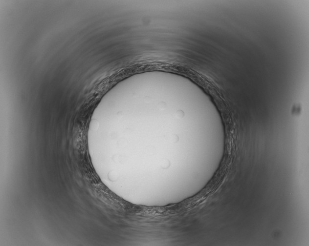 X0000115670917200911121003