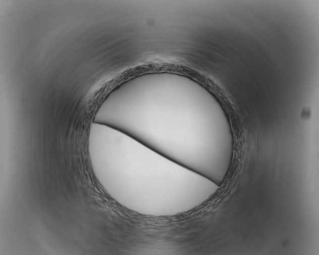 X0000115670919200911121003