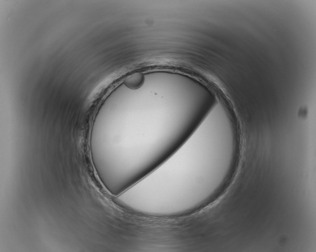X0000115670922200911121003