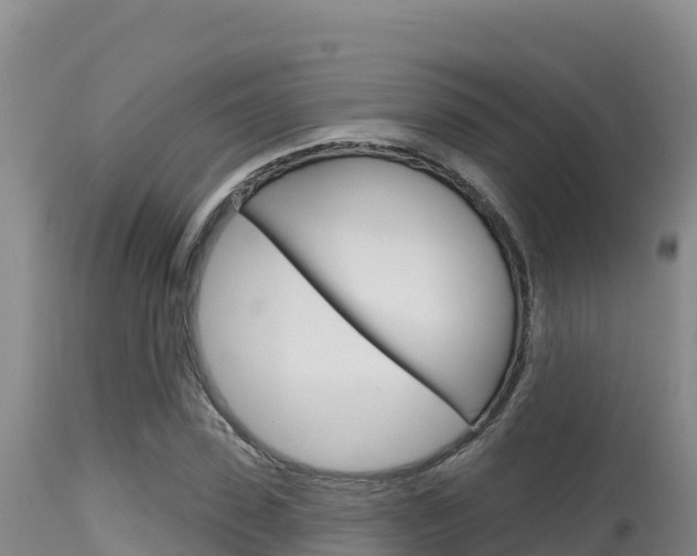 X0000115670923200911121003