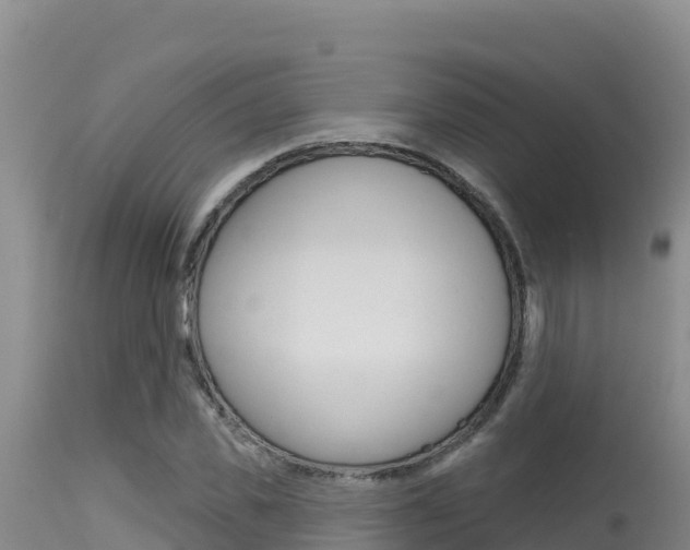 X0000115670925200911121003