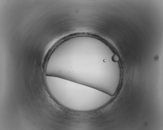 X0000115670927200911121003