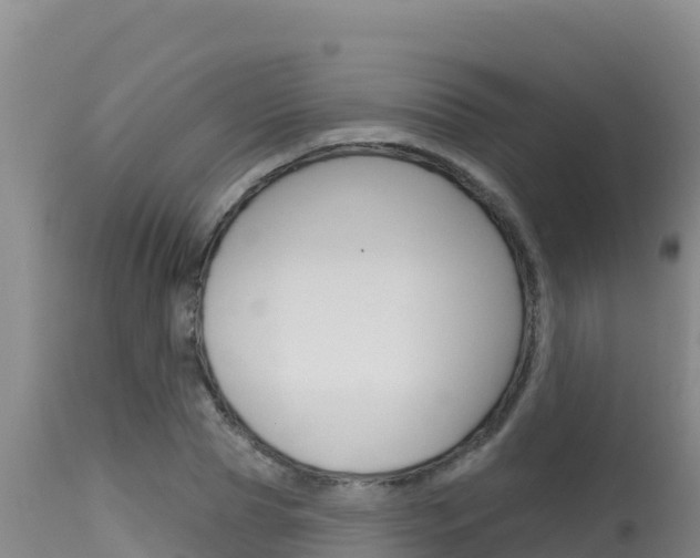 X0000115670929200911121003