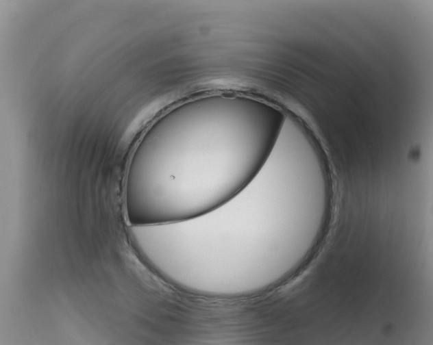 X0000115670930200911121003