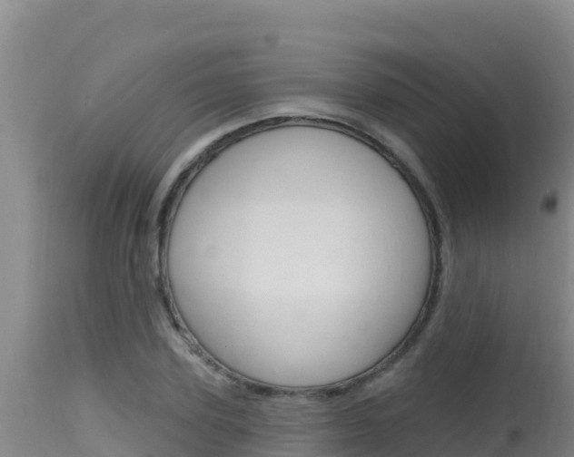 X0000115670931200911121003