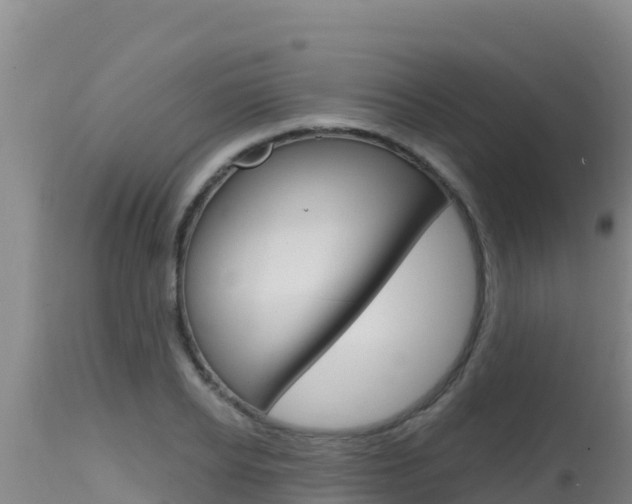 X0000115670934200911121003