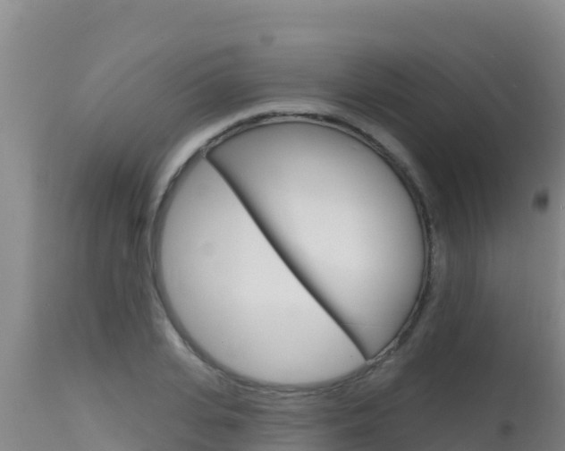 X0000115670935200911121003