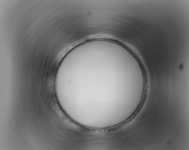 X0000115670937200911121003