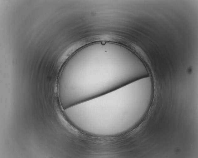 X0000115670938200911121003