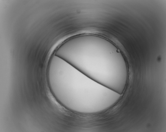 X0000115670939200911121003