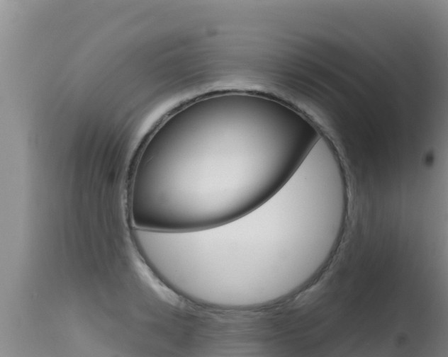 X0000115670942200911121003