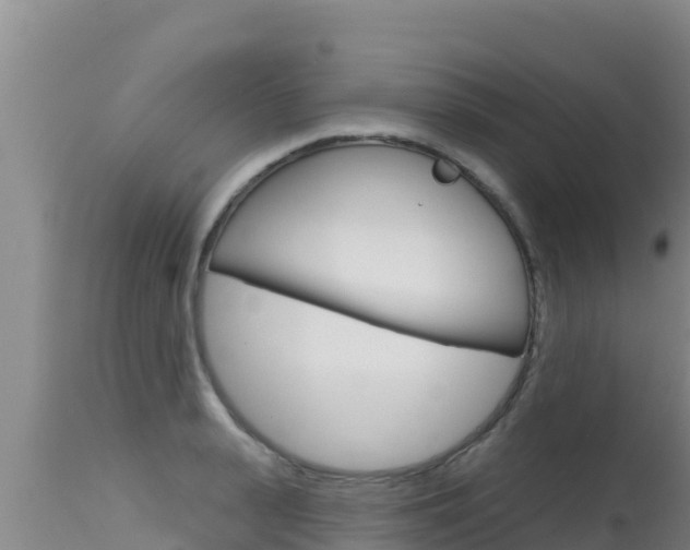 X0000115670943200911121003