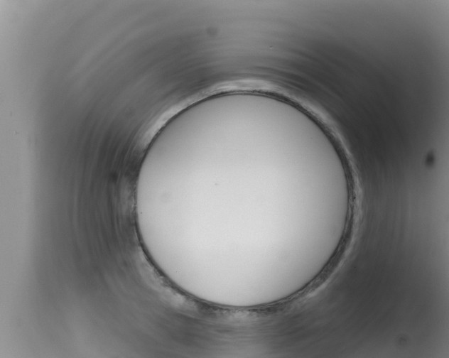 X0000115670945200911121003