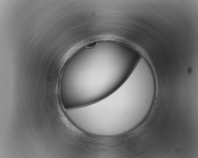 X0000115670946200911121003