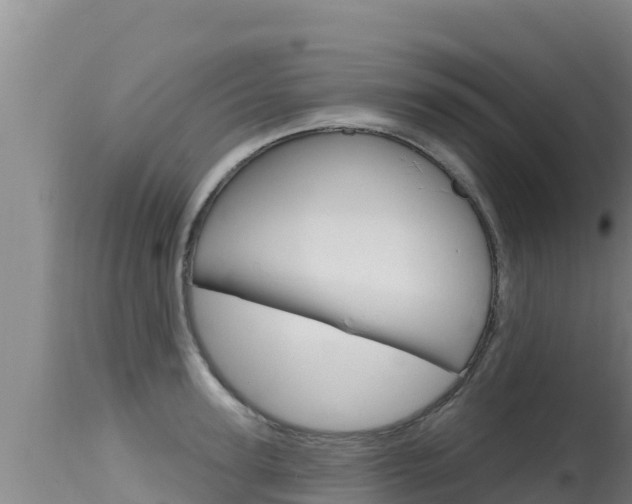 X0000115670947200911121003