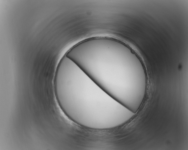 X0000115670951200911121003