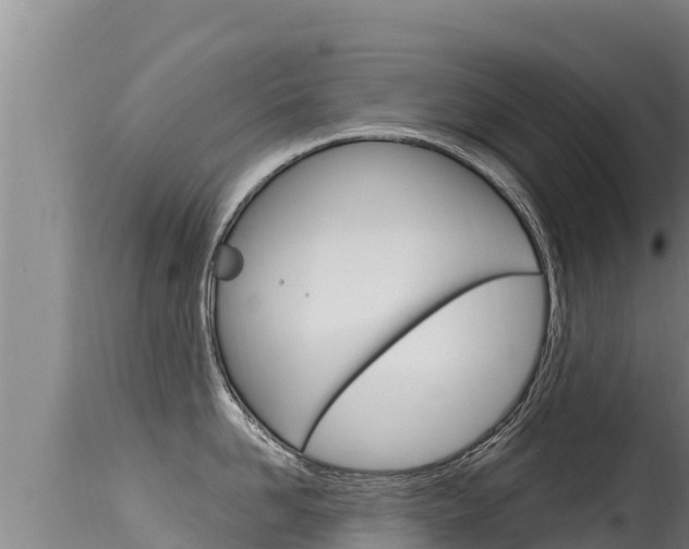 X0000115670958200911121003