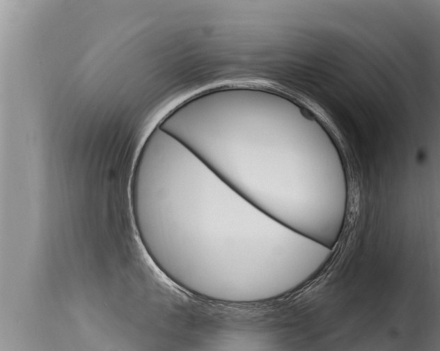 X0000115670959200911121004
