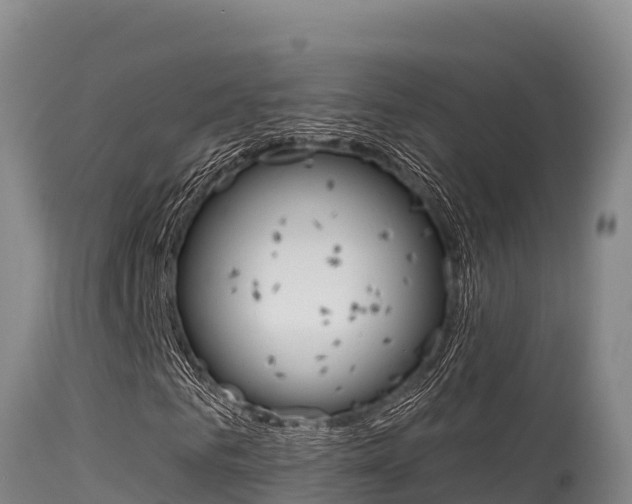 X0000115670961200911121003