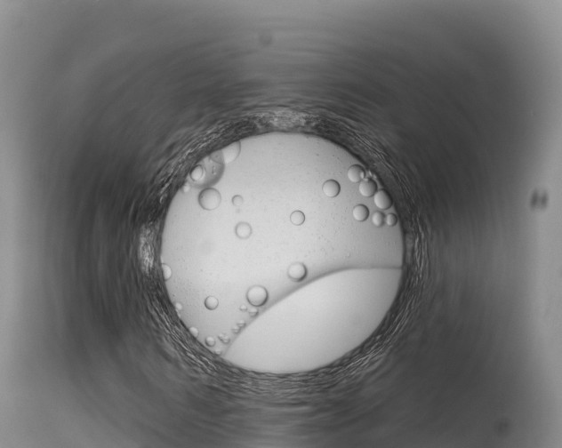 X0000115670962200911121003