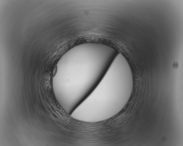 X0000115670964200911121003