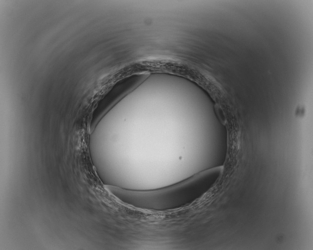 X0000115670965200911121003