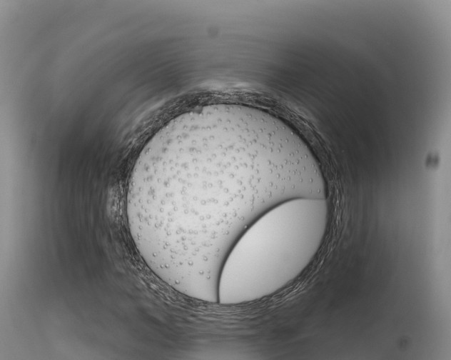 X0000115670966200911121003
