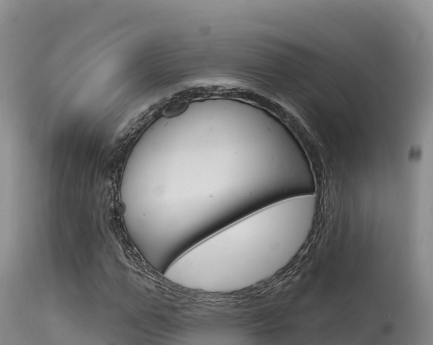 X0000115670967200911121003