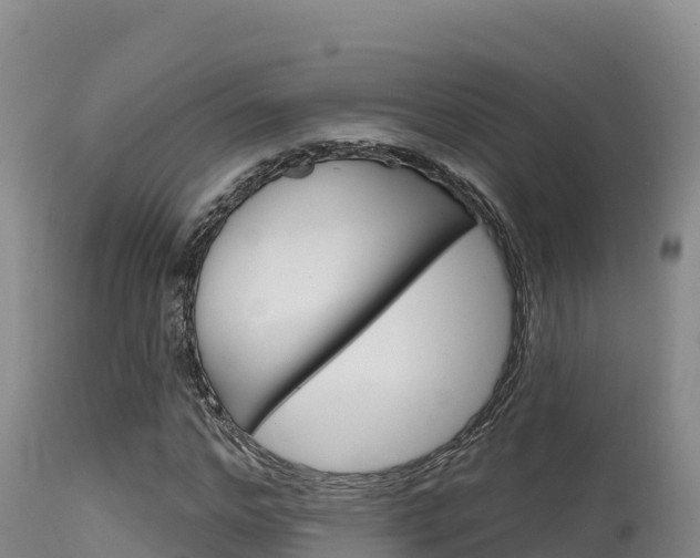 X0000115670968200911121003