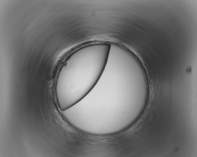 X0000115670971200911121003